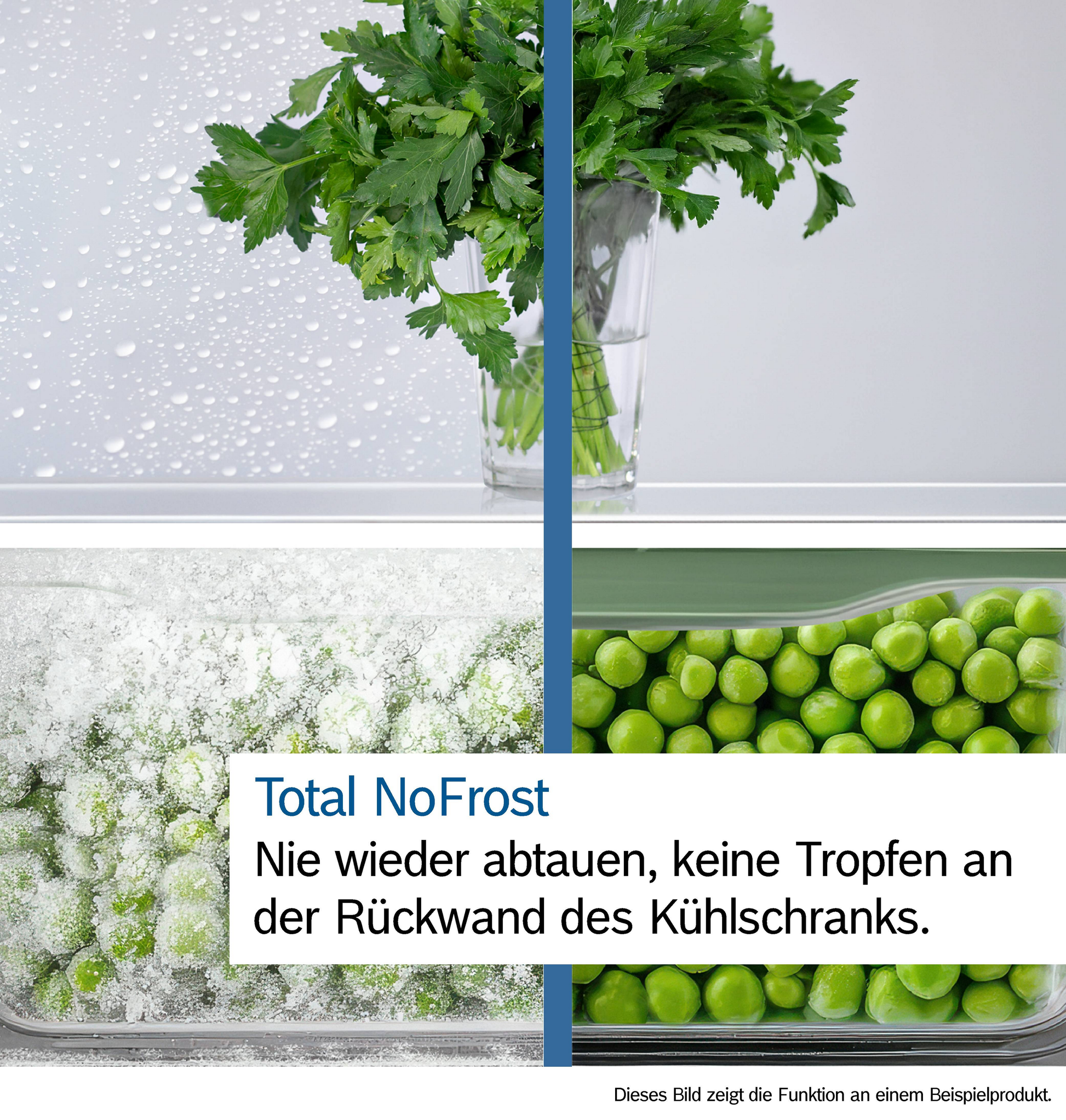 BOSCH KGN33NWEB Kühl-Gefrier-Kombination Serie 2 NoFrost - Ansary Verkauf®