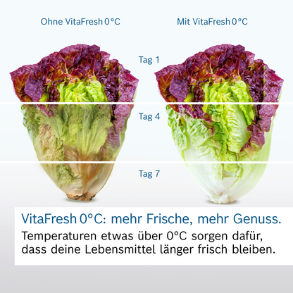 Bosch KGN392LAG Kühl-Gefrier-Kombination VitaFresh NoFrost - Ansary Verkauf®