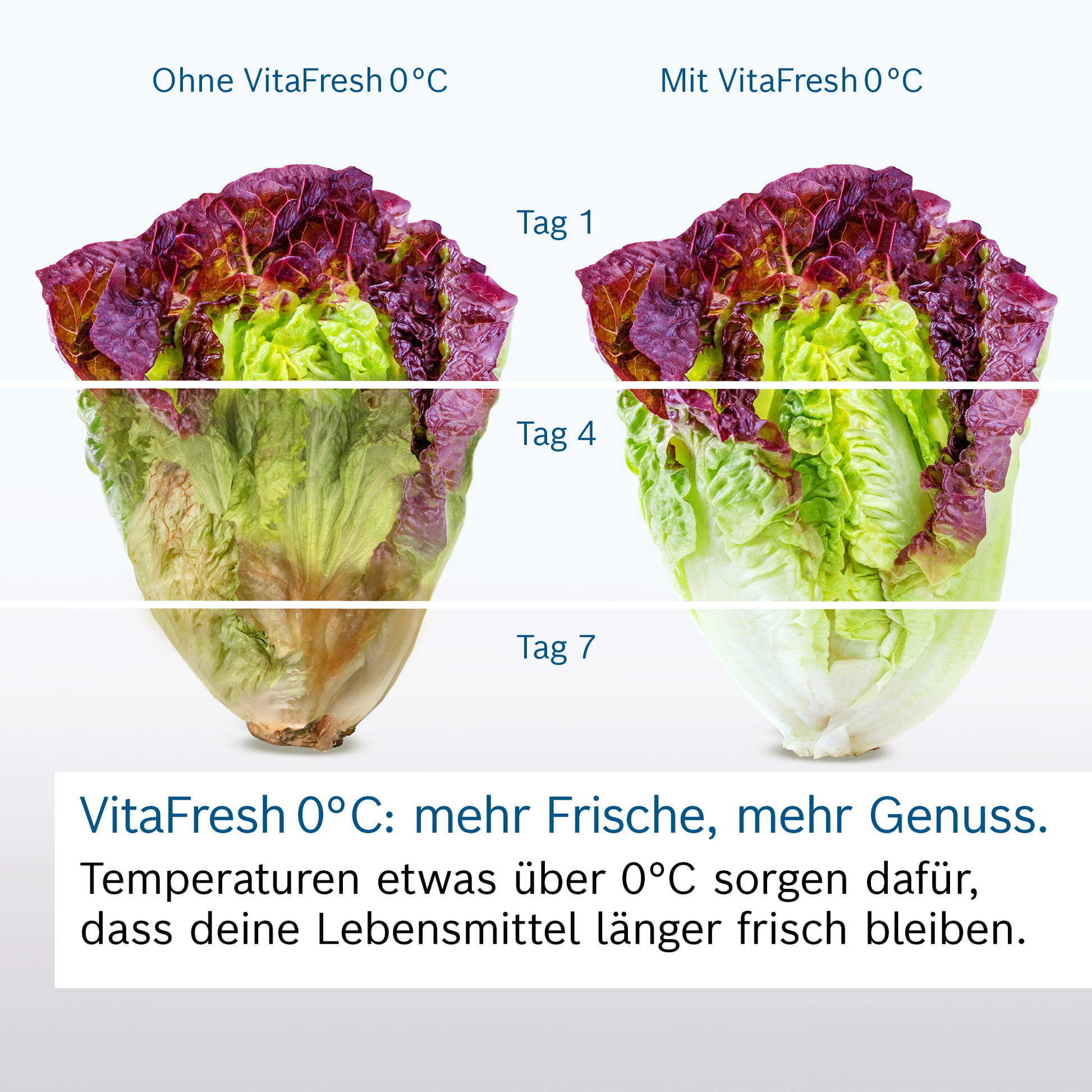 Bosch KGN39AIAU Kühl-Gefrier-Kombination VitaFresh Pro NoFrost - Ansary Verkauf®