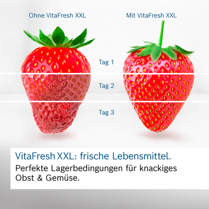 Bosch KGN39VXAU Kühl-Gefrier-Kombination VitaFresh NoFrost - Ansary Verkauf®